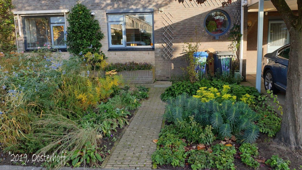Uitgaand Huiswerk eenvoudig Tips voor een tuinontwerp van een kleine tuin - Tuinontwerpervinden.nl